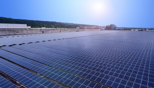 中美硅晶与yl8cc永利携手战略合作