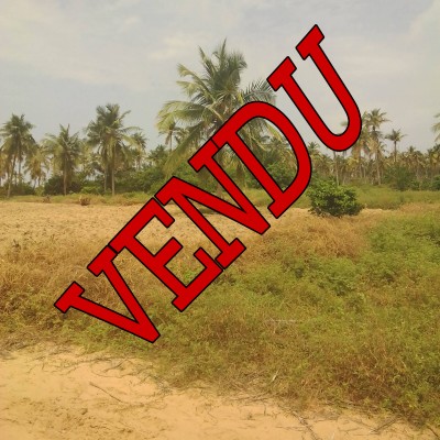 Domaines avec Titre Foncier à Avlékété (Ouidah)