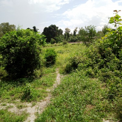 30 hectares à Kétou-Centre