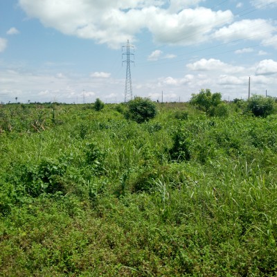 50 hectares de terres agricoles à Kétou